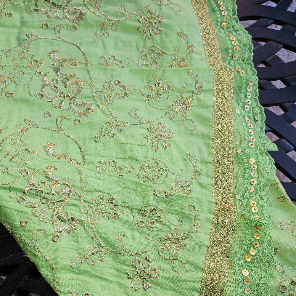 EXPRESS Metallic Embroidered Skirt - Picture 2 of 5